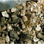 Close up of Vermiculite